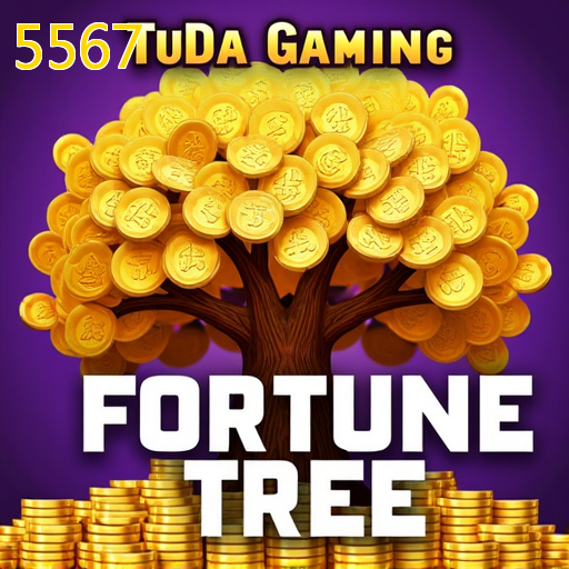 5567 aplicativo